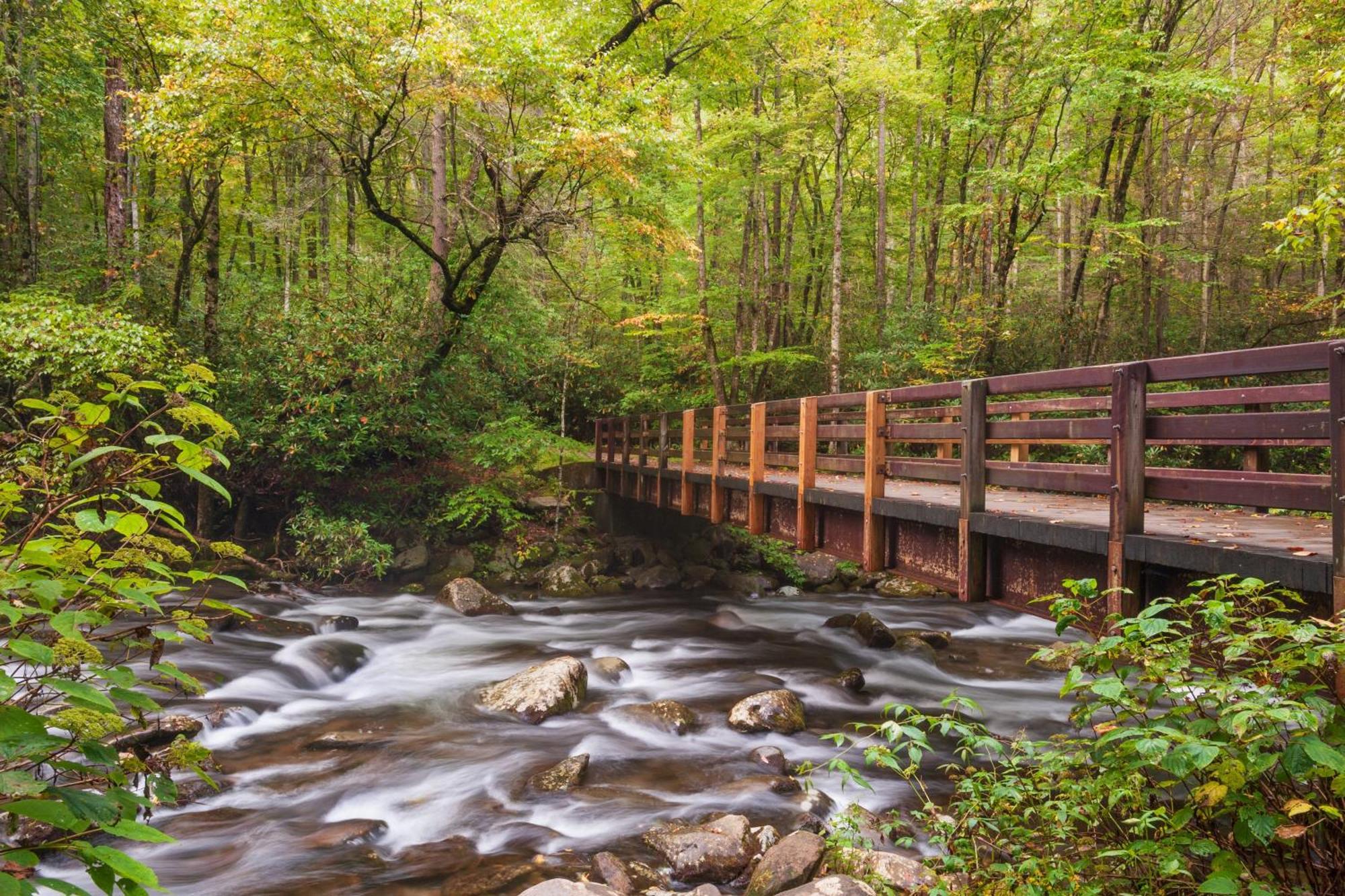 Hemlock Hollow, Pool Access, 1089 Free Tickets Each Paid Day, Dollywood And More Sevierville Exterior photo